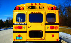 School Bus