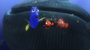 Finding Nemo Whale