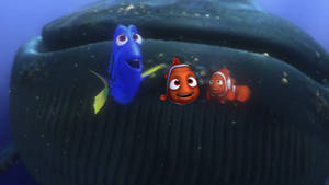 Finding Nemo Whale