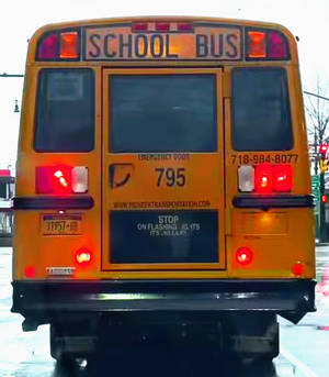 School Bus