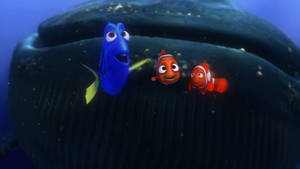 Finding Nemo Whale