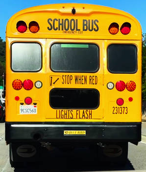 School Bus