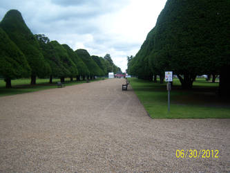 Hampton Court Gardens