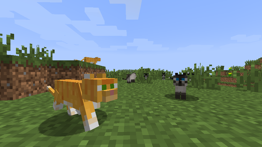 Minecraft - Ocelots