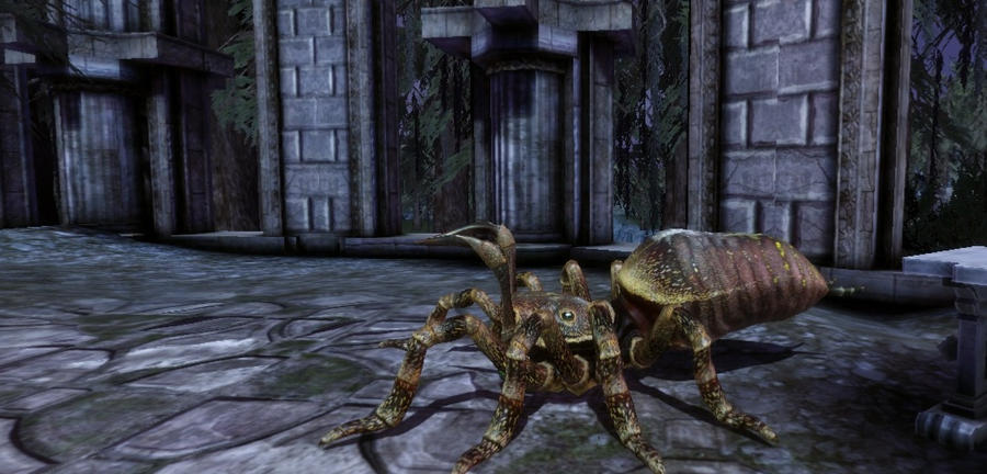 Dragon age origins walkthrough Dragon age origins walkthrough