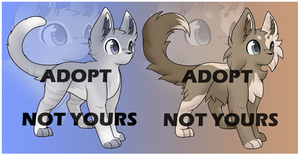 2 Cat Adopts! by Halo--Cat