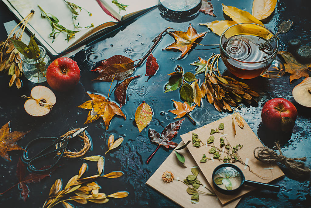 Autumn inside by dinabelenko