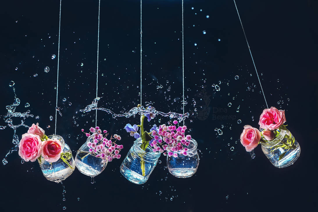 Newtons Cradle by dinabelenko