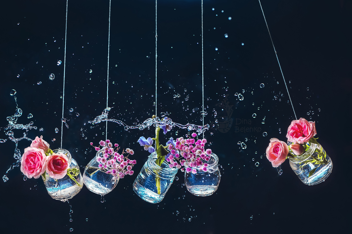 Newtons Cradle by dinabelenko