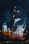 Milk Dolphin by dinabelenko