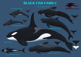 Black Fish Family Reference