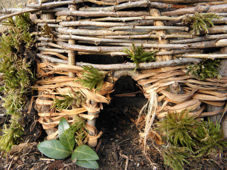 Faerie House- The Doorway