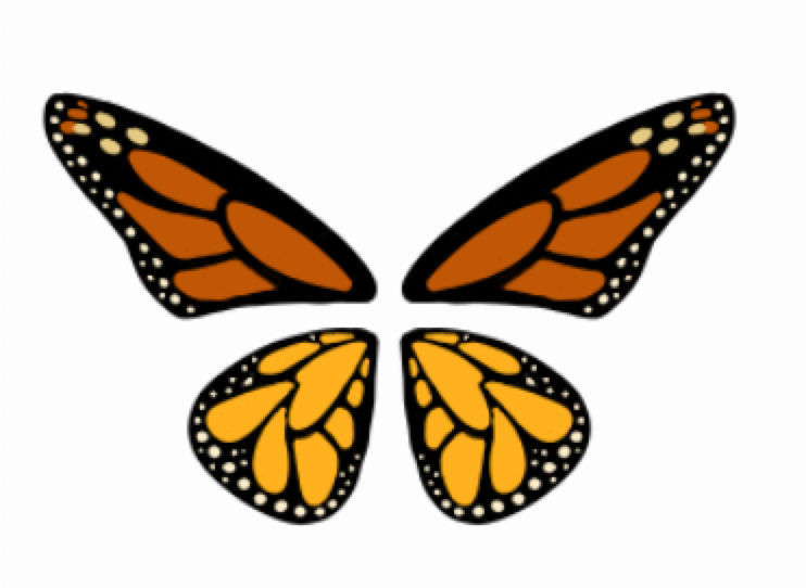 Monarch Butterfly Wings Template by Emmakatt on DeviantArt monarch-butterfly-wings-template-by-emmakatt-on-deviantart