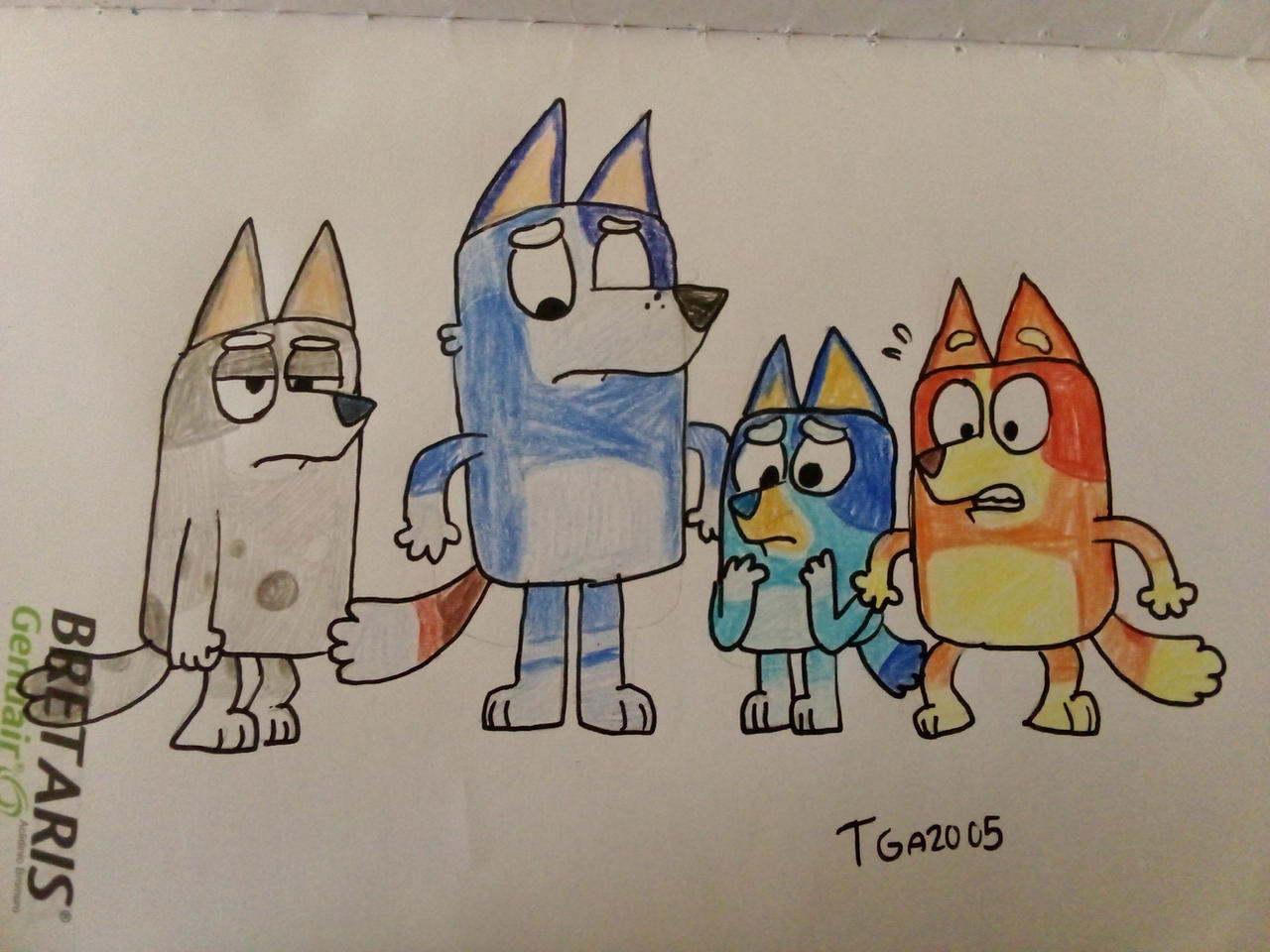 Age swapped Heeler cousins by RPS-addicted on DeviantArt