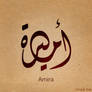 Amira name
