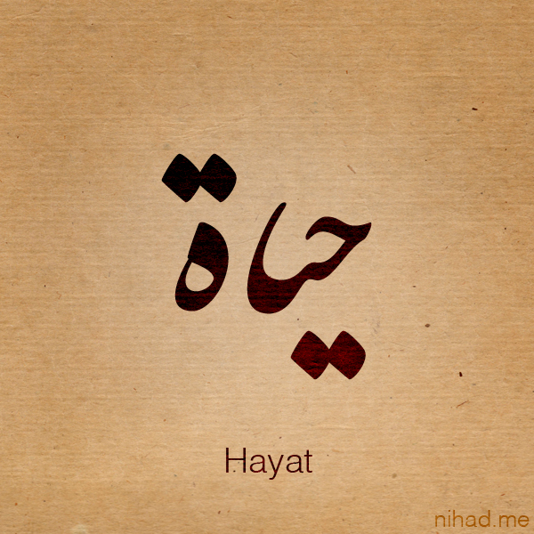 Hayat name