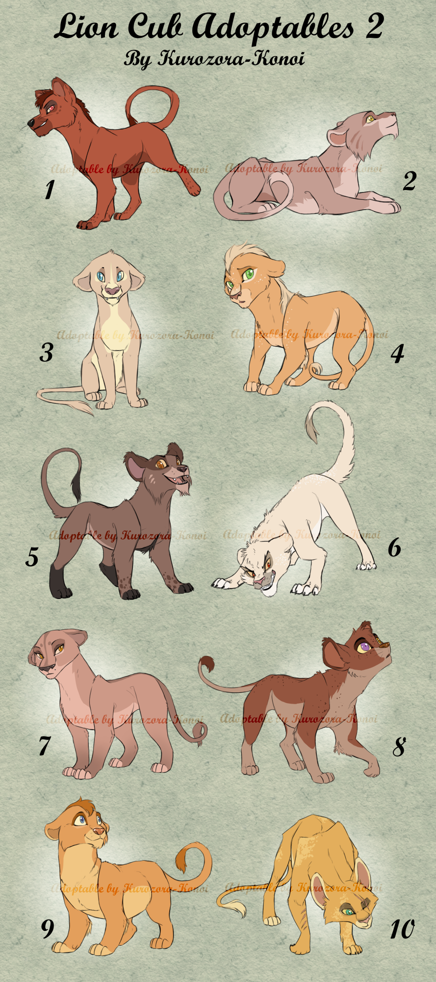 Lion Cub Adopts 2 - Set Price (9/10 OPEN)