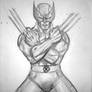 Wolverine Sketch MCC