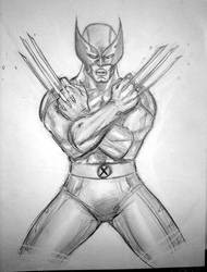 Wolverine Sketch MCC