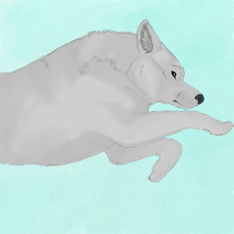 Deviantart Animal Jumping Wolf Jump Art by TempestaArt on DeviantArt