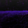 Hyperdimension Neptunia Wallpaper