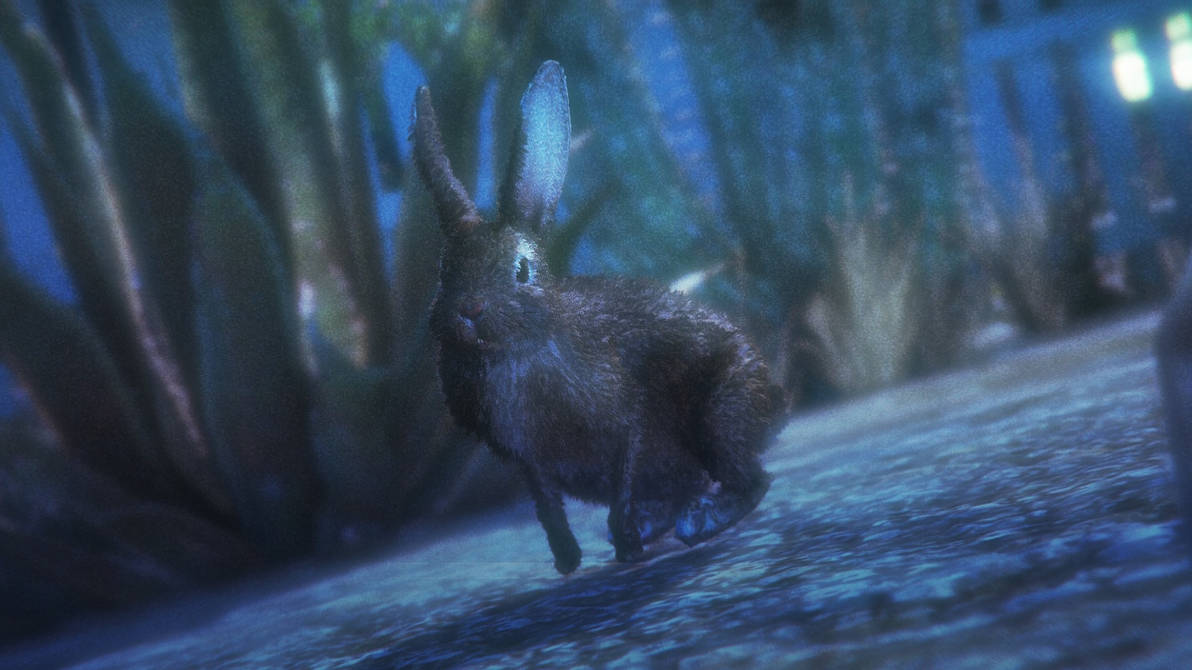 The midnight rabbit by Thelesia-08 on DeviantArt