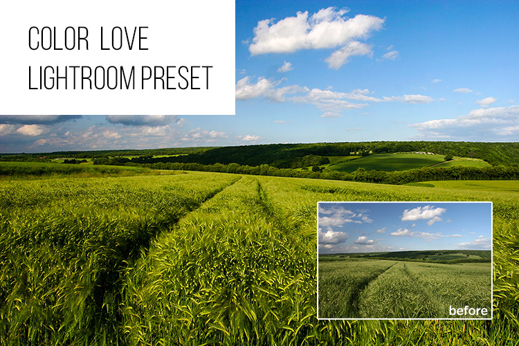 Color Love: Free Lightroom Preset