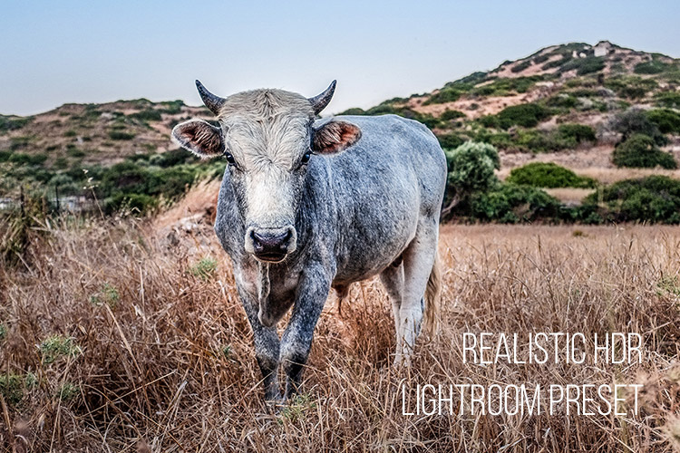 Realistic HDR: Free Lightroom Preset