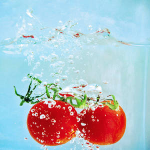 splashy tomatoes