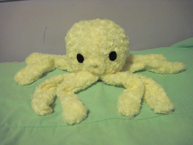 Octopus