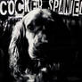 Cocker Spaniel Cover