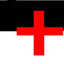 The Templar Flag: Templarii in banner