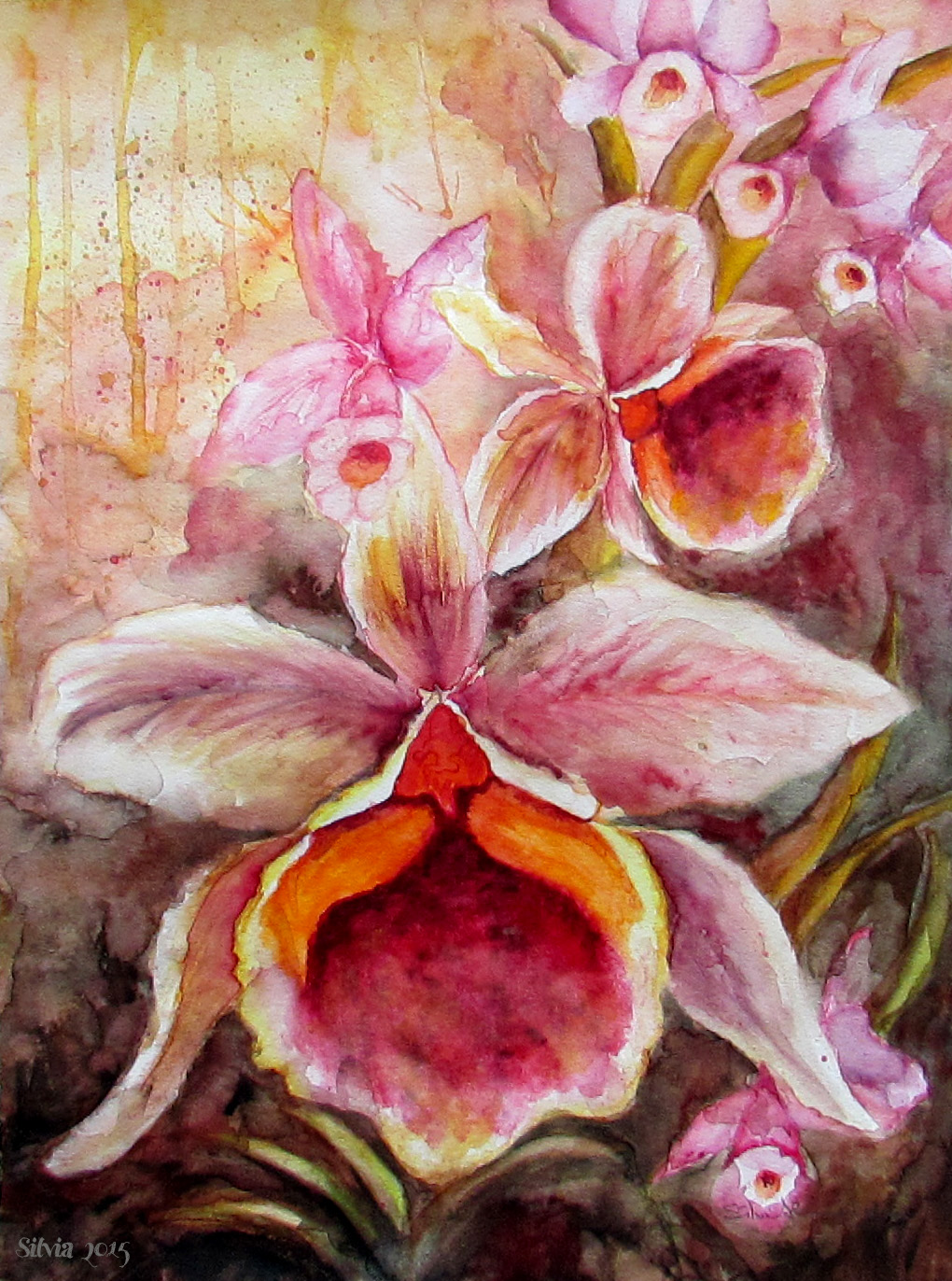 Orchids