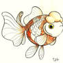 Pearlscale Goldfish