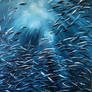 Sardine run