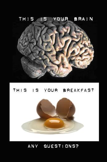 This is your brain...