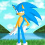 Sonic the hedgehog