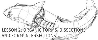 Lesson 2: Organic Forms, Dissections and Form In..