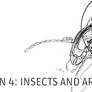 Lesson 4: Drawing Insects and Arachnids