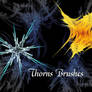 Thorns Brushes