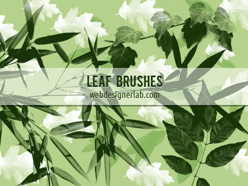 Free Leaf Brushes