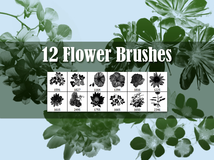 12 Flowers Brushes