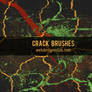Crack Brushes