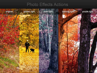 Photo Effects Free Actions