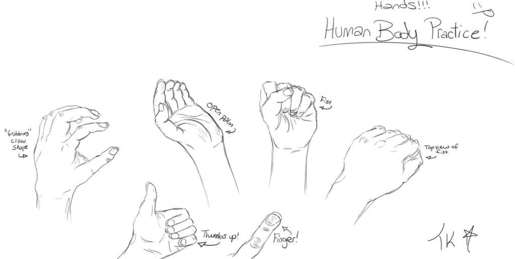 Hand Practce Hand Practice by ArtWolfTK on DeviantArt