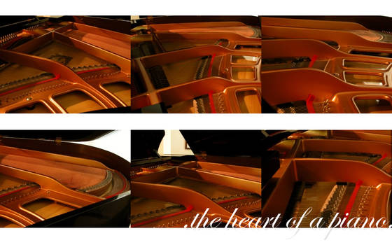 the heart of a piano