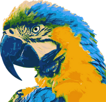 Blue-throated Macaw Vector Art By Aravind Reddy