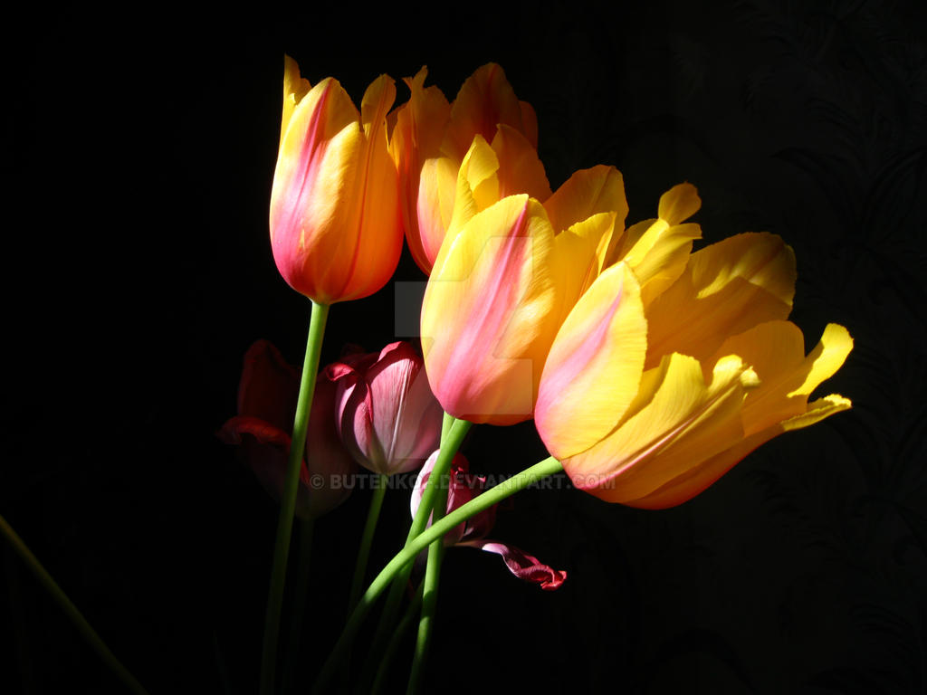 A bouquet of flowers