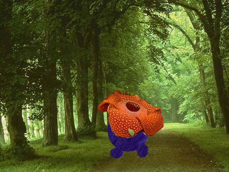 Real life Vileplume by marcani on DeviantArt