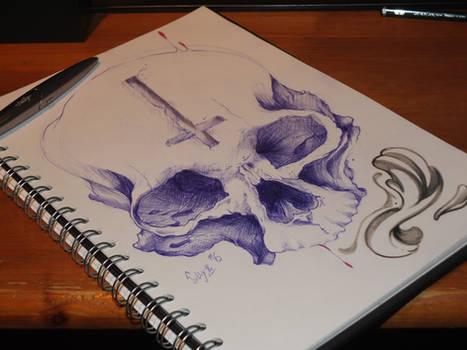 Sketch a day #6 skull